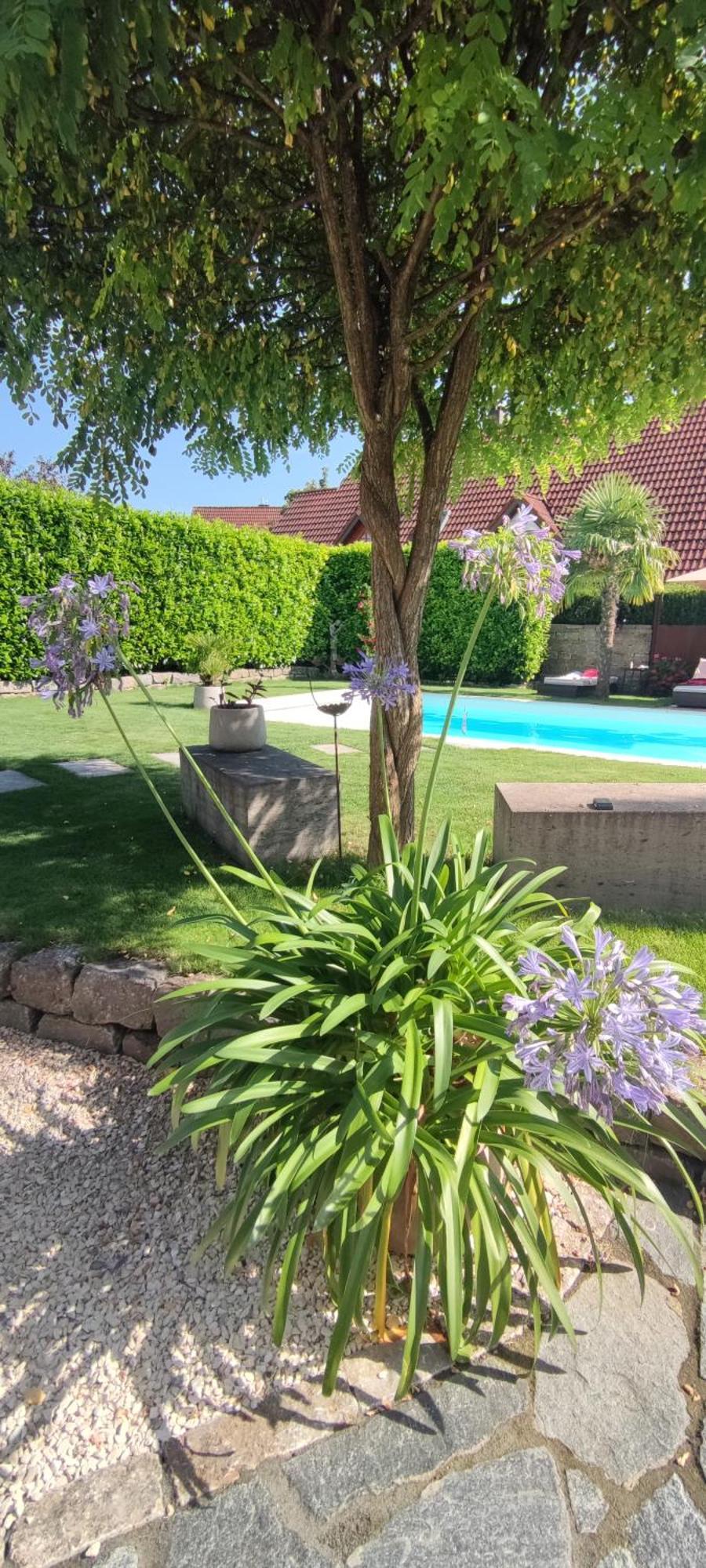 Bel Giardino *