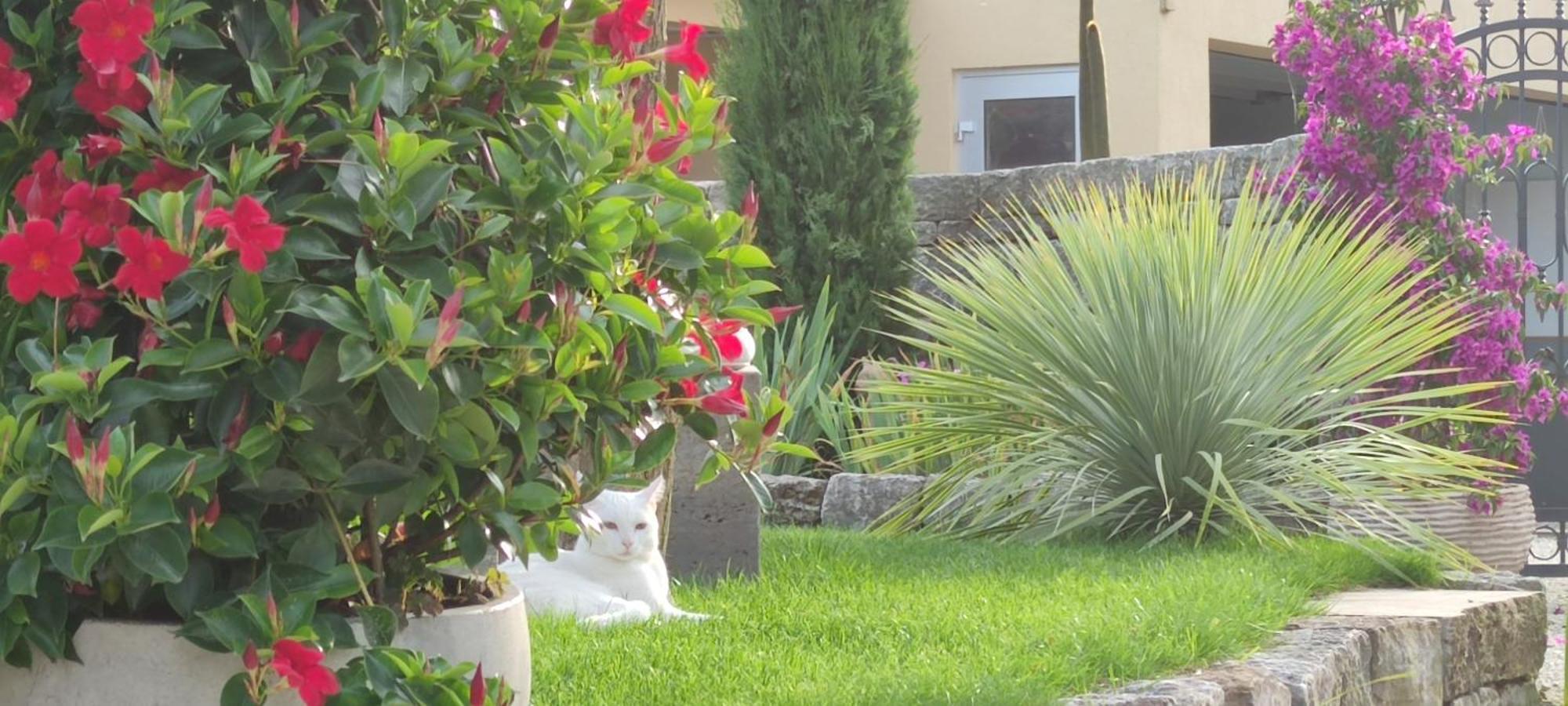Bel Giardino