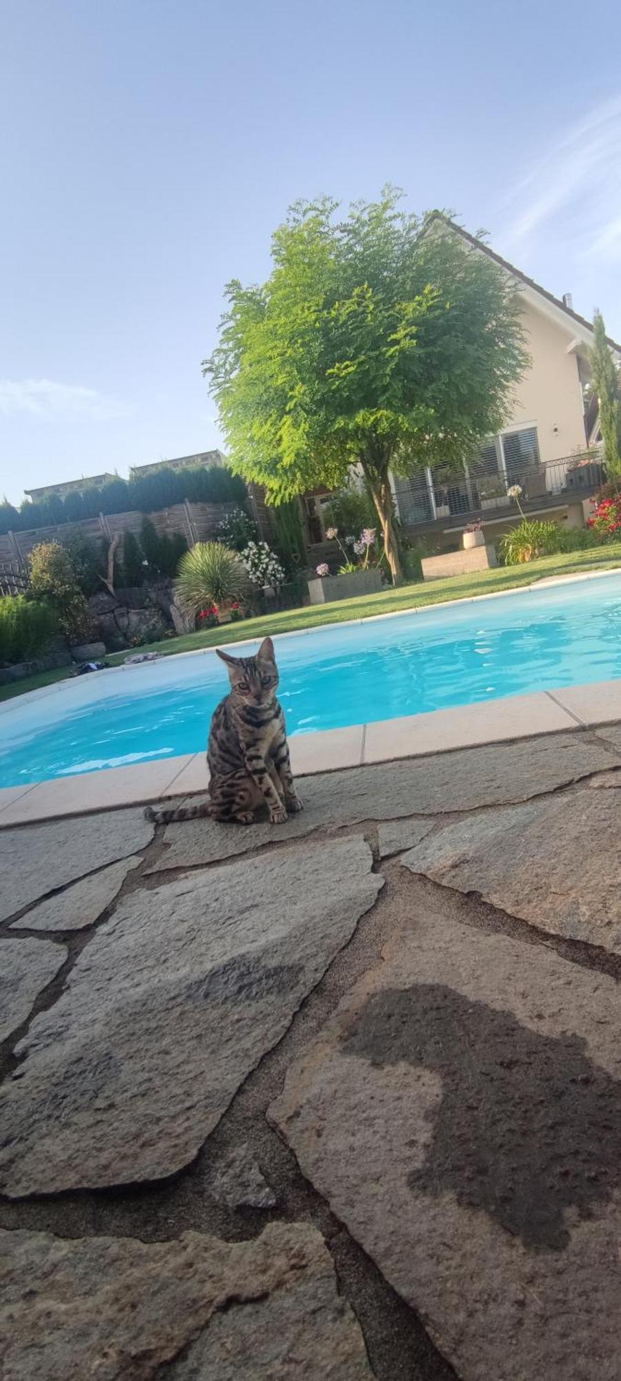 Bel Giardino *